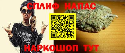 винт Сланцы
