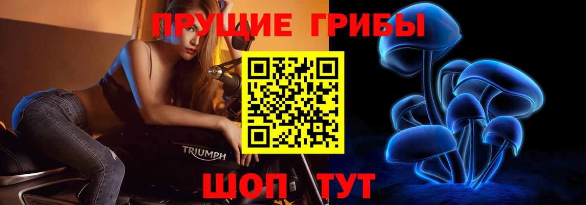 Галлюциногенные грибы Magic Shrooms  где купить наркоту  Чита  Вход с VPN 